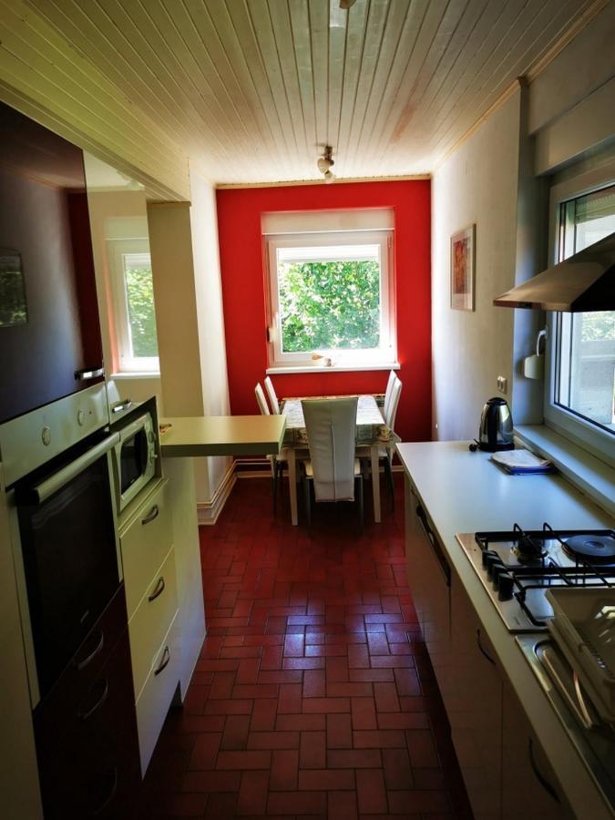 Apartamento Apartmant Sandra - Big Terace And Free Parking Karlovac Exterior foto